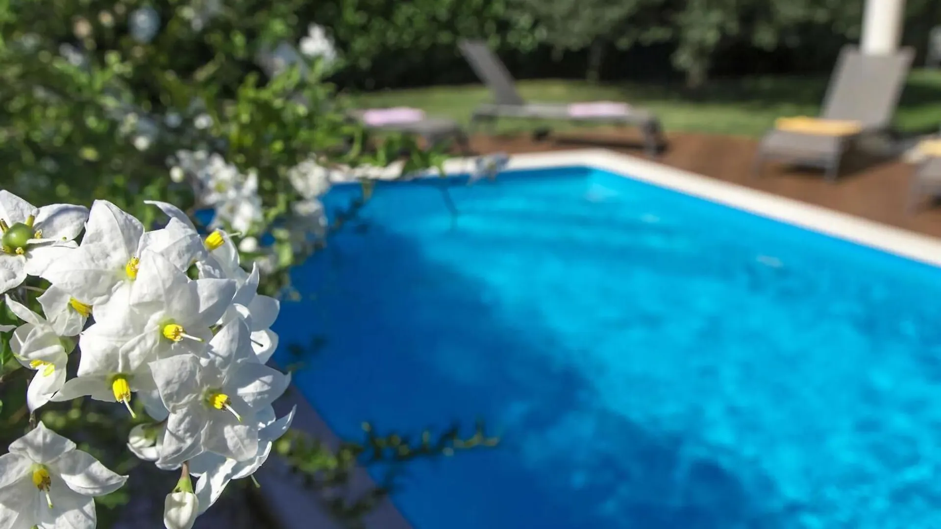 Villa Family Paris Umag 0*,  Croatia